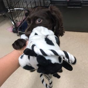 Meet your Posher, Brianna